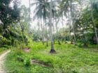 Plot for sale