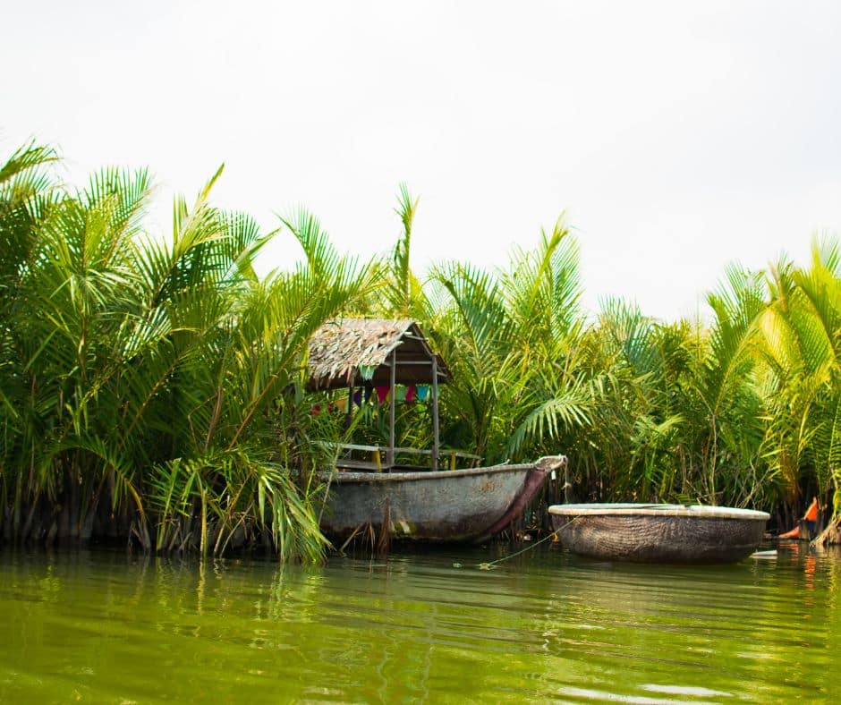 Bay Mau Coconut Forest